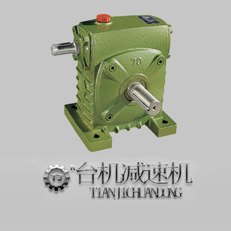 雙輸出軸蝸輪蝸桿減速機(jī)-多種性比價高型號